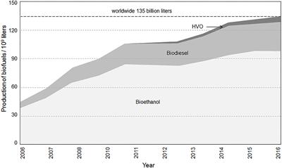 Potential of Biomass to Liquid-, Hydrotreated Vegetable Oils-, and Fatty Acid Methyl Esters-Blends for Diesel Engines in Passenger Cars